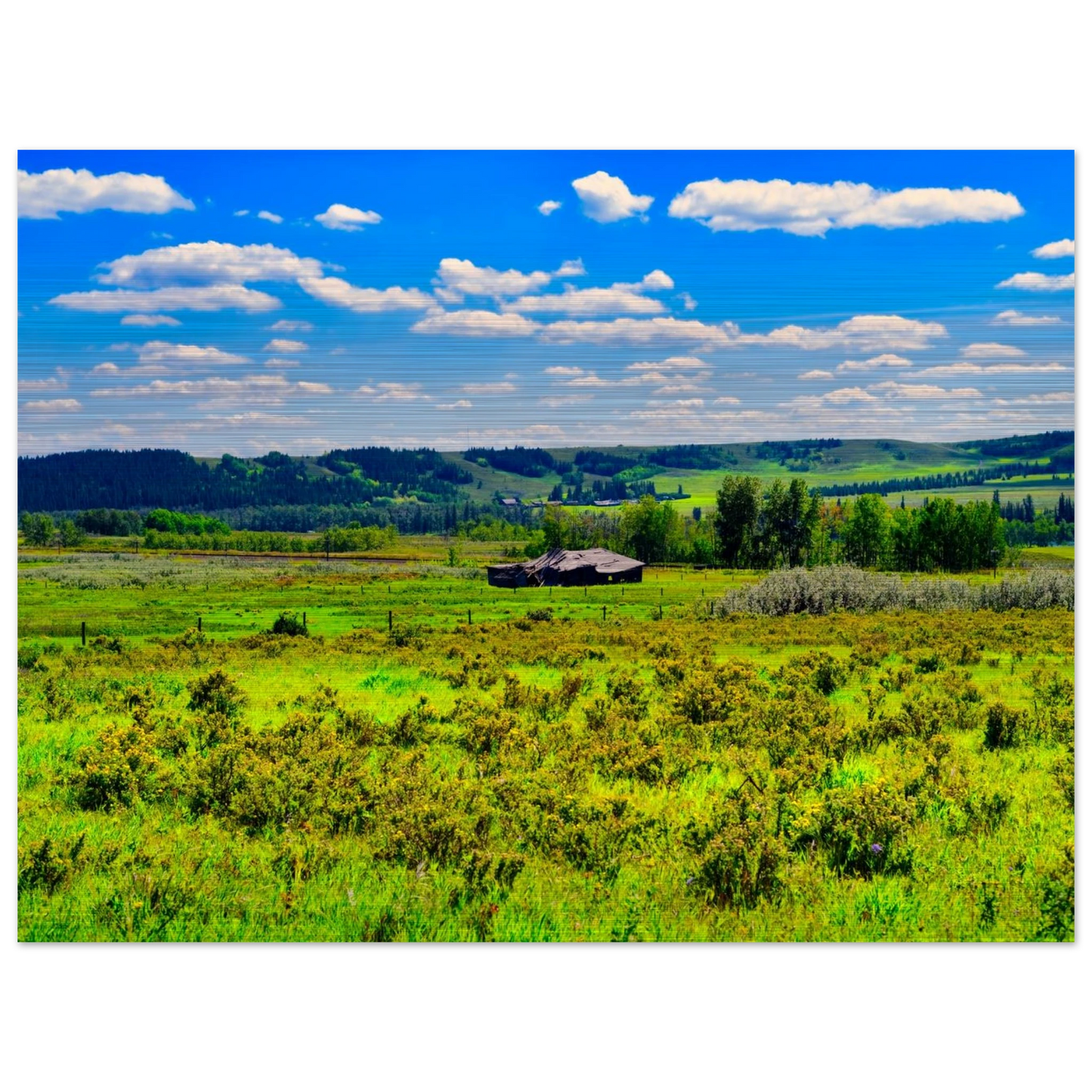 990a6e8f-3e40-429e-90dd-0d7851ede3b6