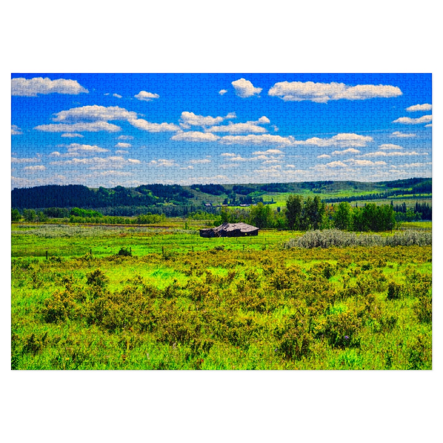 Jigsaw Puzzle - Glenbow Ranch Provincial Park