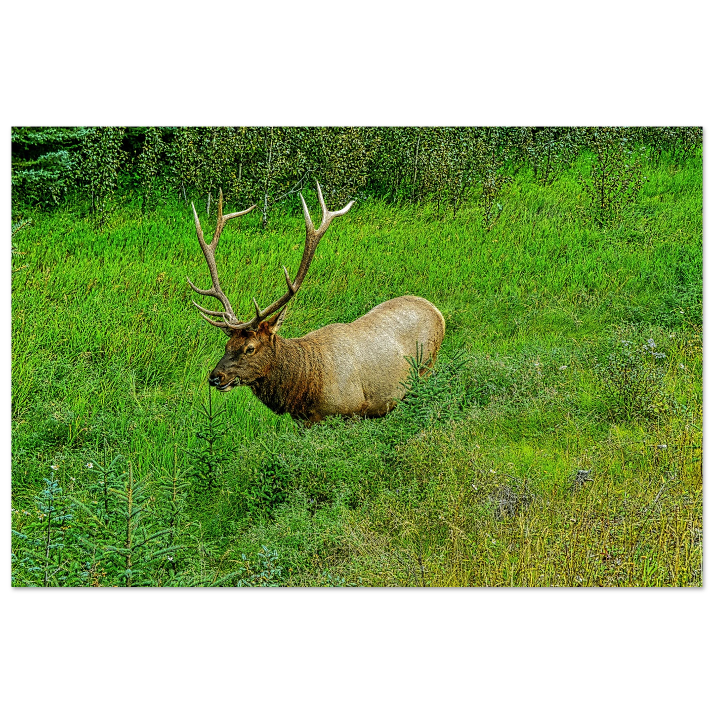 99c84014-5884-4e54-8517-5fa2cdacda6b