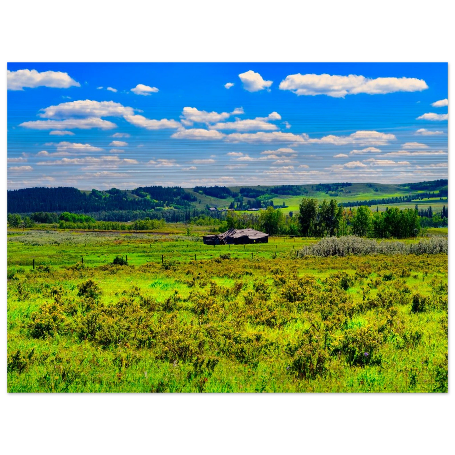 99cdd066-98f0-46ee-a98d-b77b941f06a2