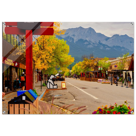 9ac8f50e-4bfd-4299-b492-dd8c2ca93634