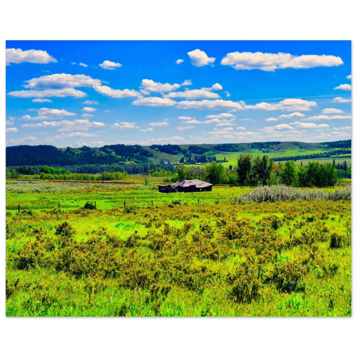 9c05af76-8094-45cd-9c27-d2d2f0ab804e