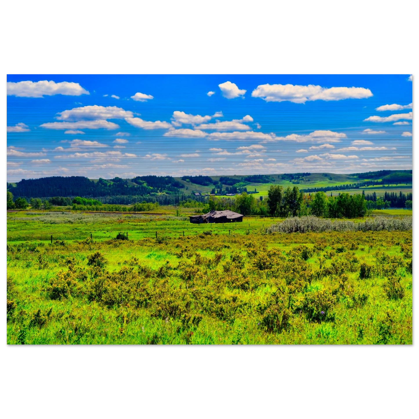 9d3101a3-b181-47ad-b440-2f8b830f5485