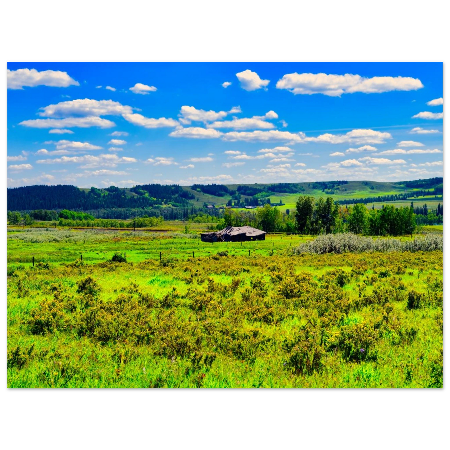 9e031b5f-b0e7-4ca0-8410-5c936a0d33f3