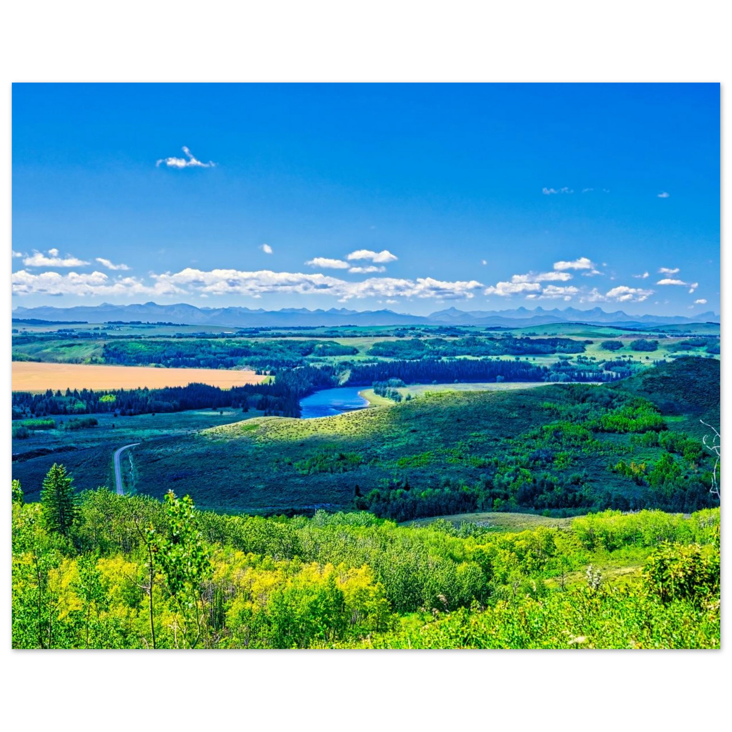 9f523c72-20ed-4e3a-9133-b06fd8338e97