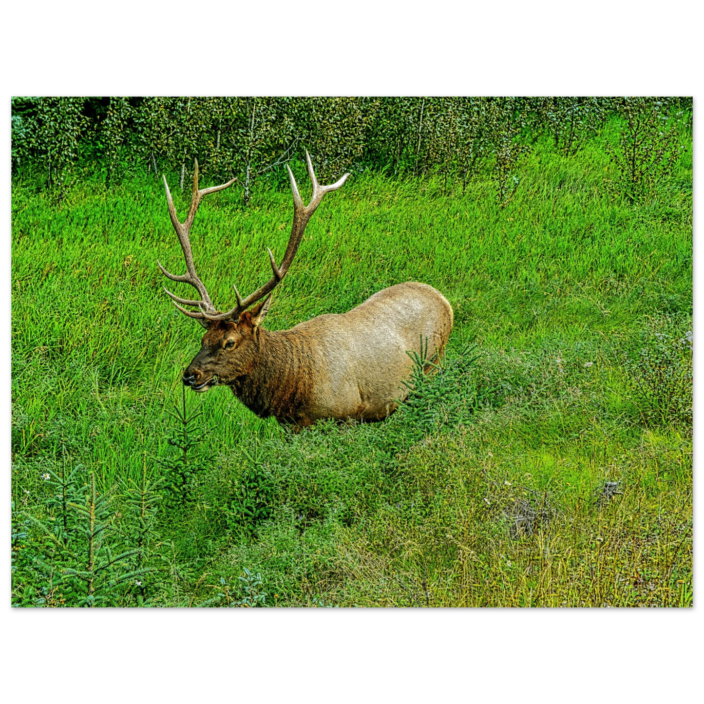 9f7ae820-e862-4219-8301-2dfa7d1d1fc4