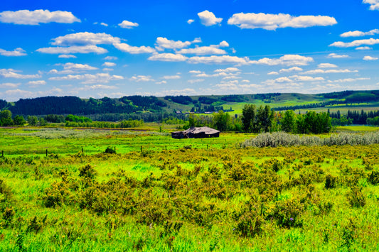 Glenbow Ranch Provincial Park Digital Download
