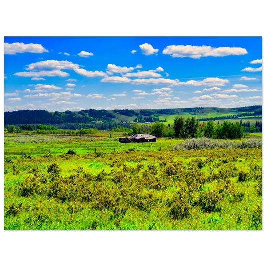 a1a9f25c-72ed-46d8-9eed-3ca98f10d635