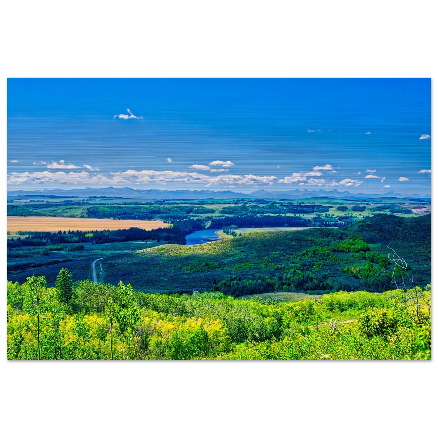 a34916ce-26e4-4f4c-b7c8-83c501d1b645