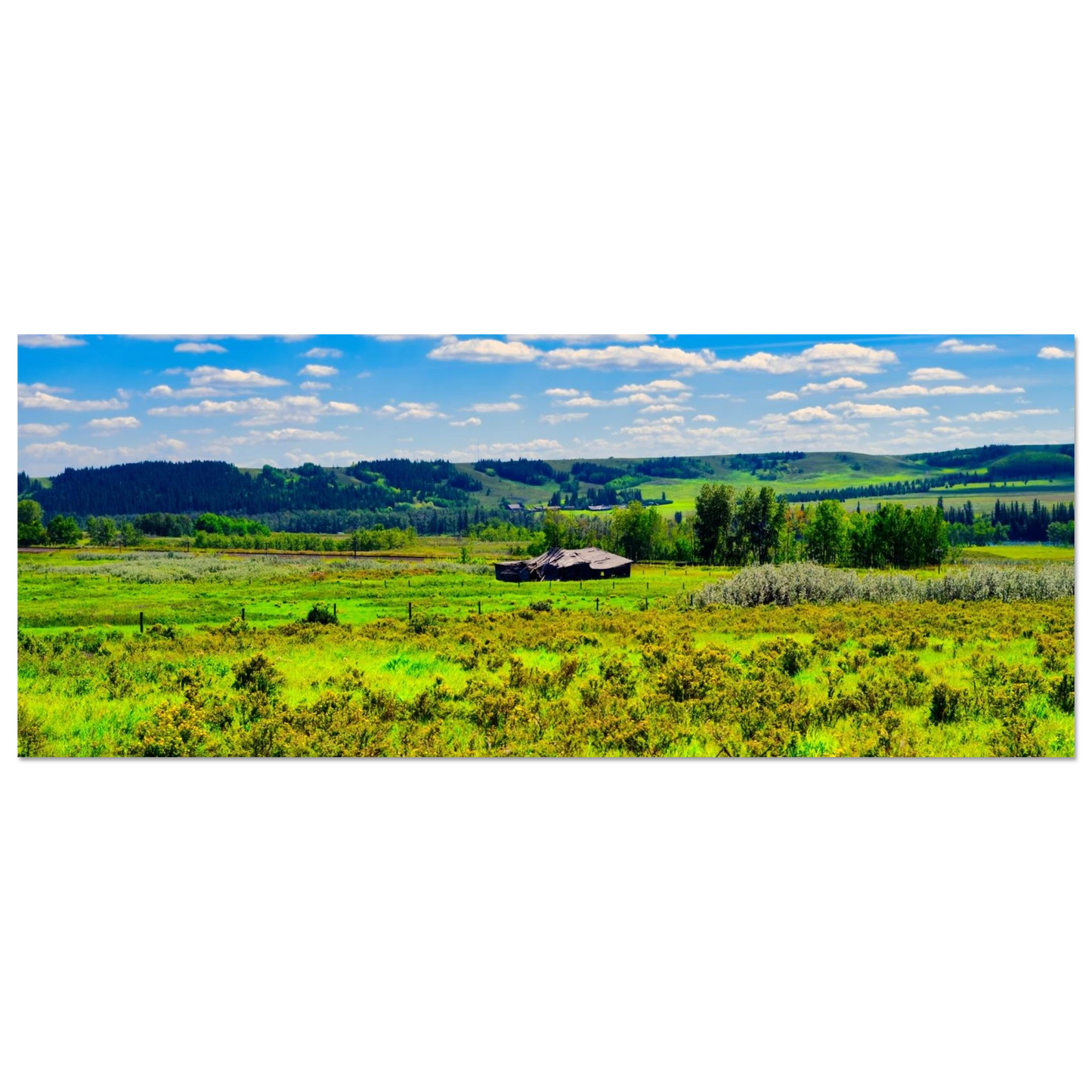 a95d55e3-c786-4718-be66-f3f2e777cc55