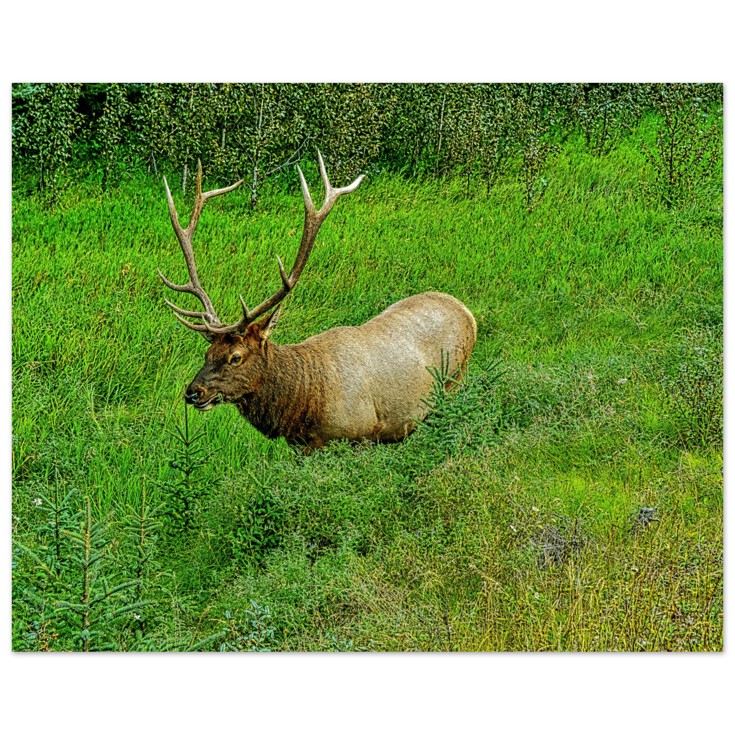 ac2a7e84-28ea-4189-9419-06cfe6b7a33b