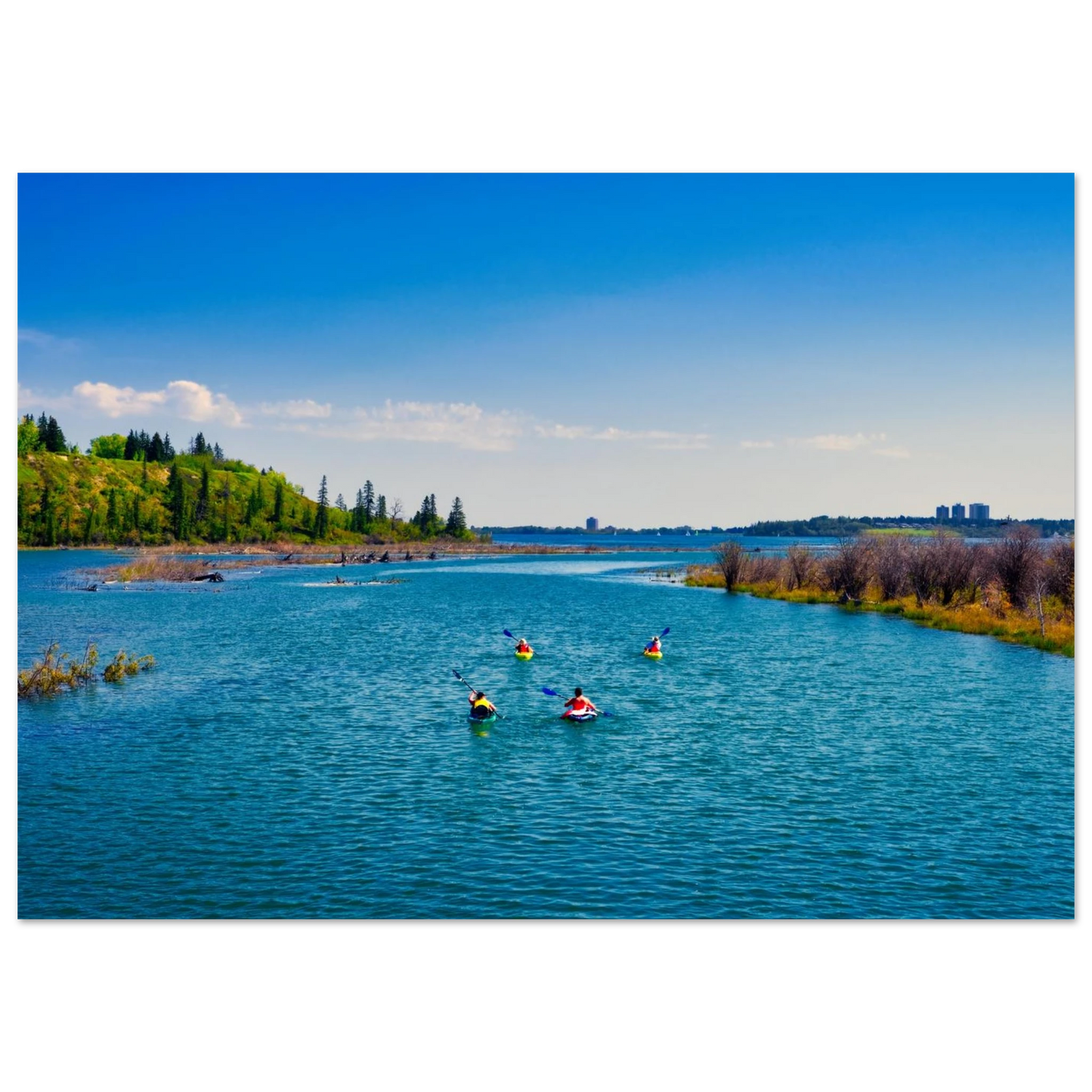 acf47cf9-103f-42c2-bc61-43f57b1853b7