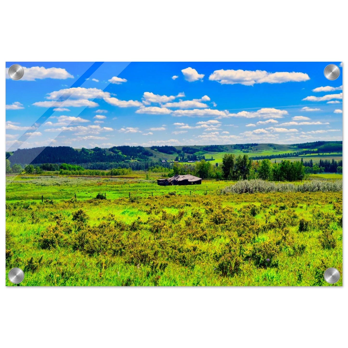 b083caed-6e04-44fb-947c-b13ef764716c