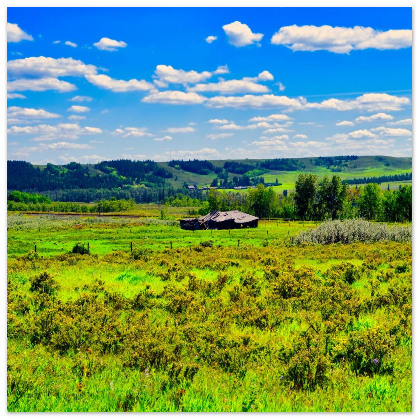 b0dd1edd-1bfd-4780-99b5-5badf380b699