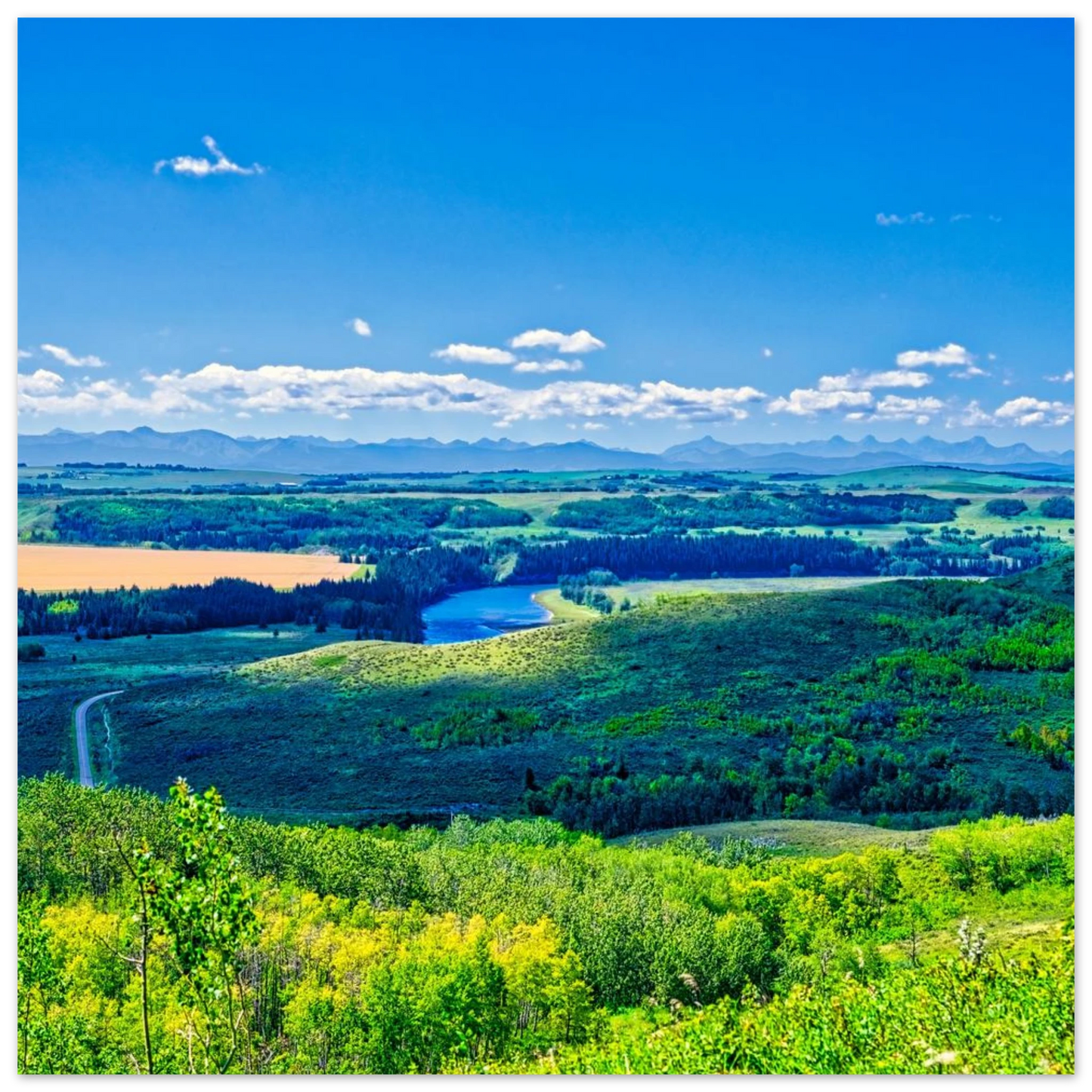 b0efe05b-6c2d-4fed-aaf1-65b0203e07ac