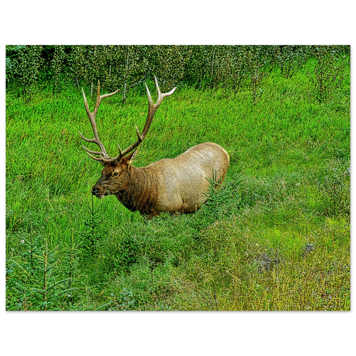 b1a70748-1151-4858-bb87-5e0b8693fd7a