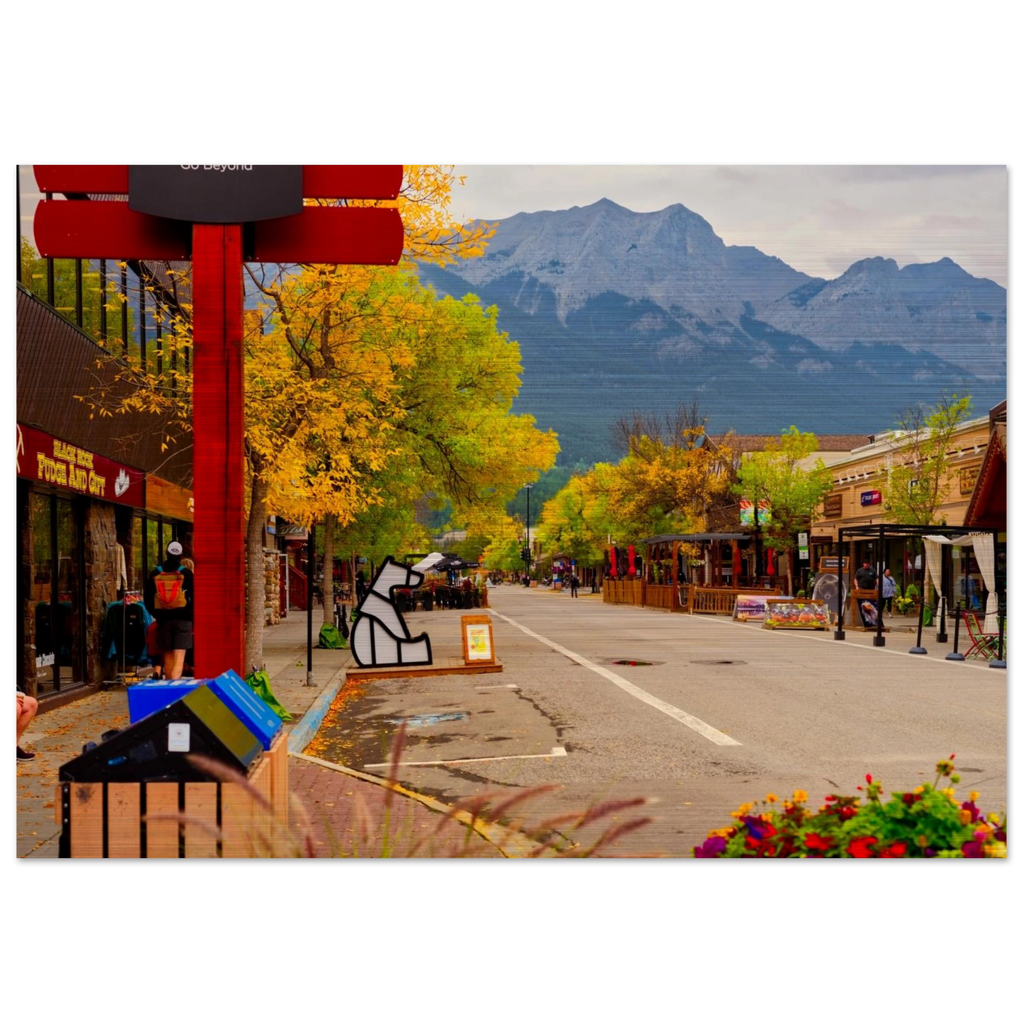 b223fe7f-d49f-4d4a-97f9-302f479de418