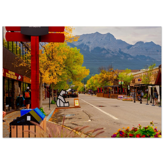 b223fe7f-d49f-4d4a-97f9-302f479de418