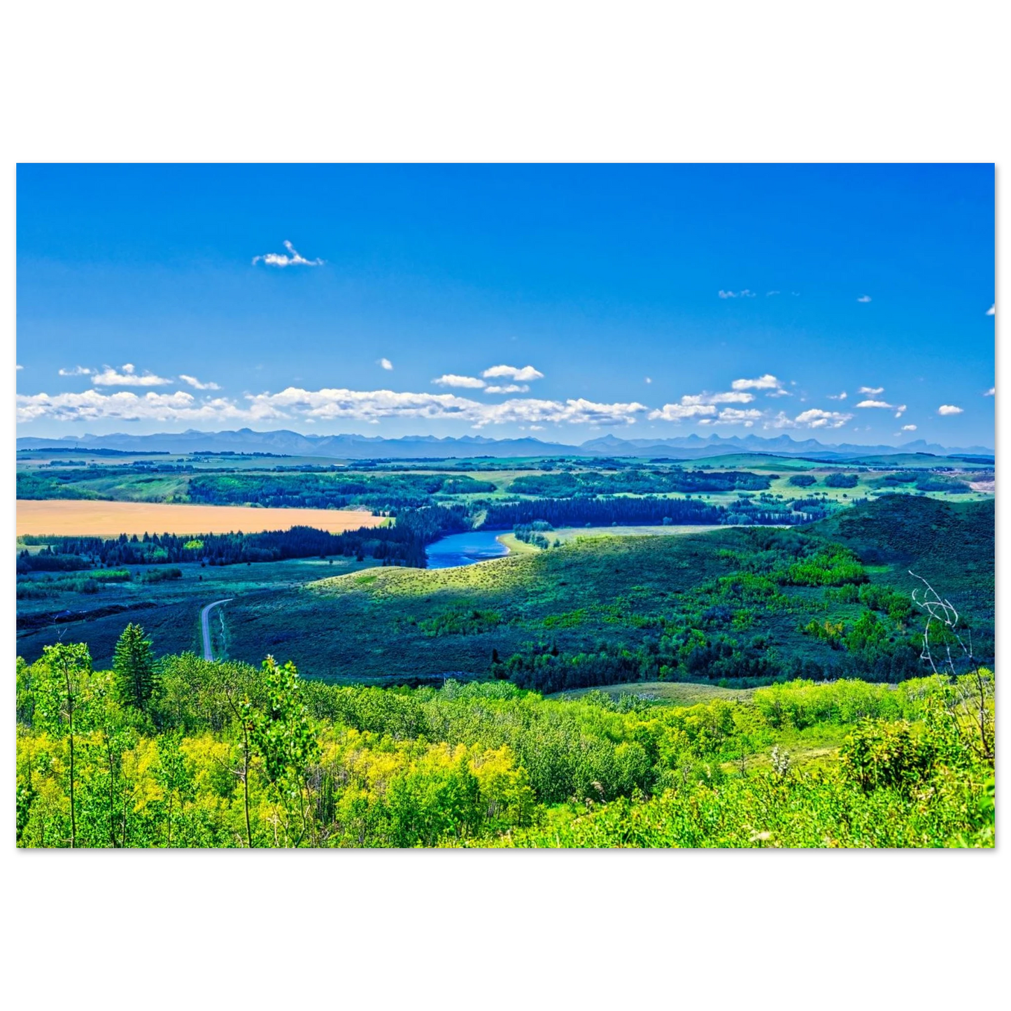 b4e83fa3-5cb4-4f44-b49f-8be34e447f00