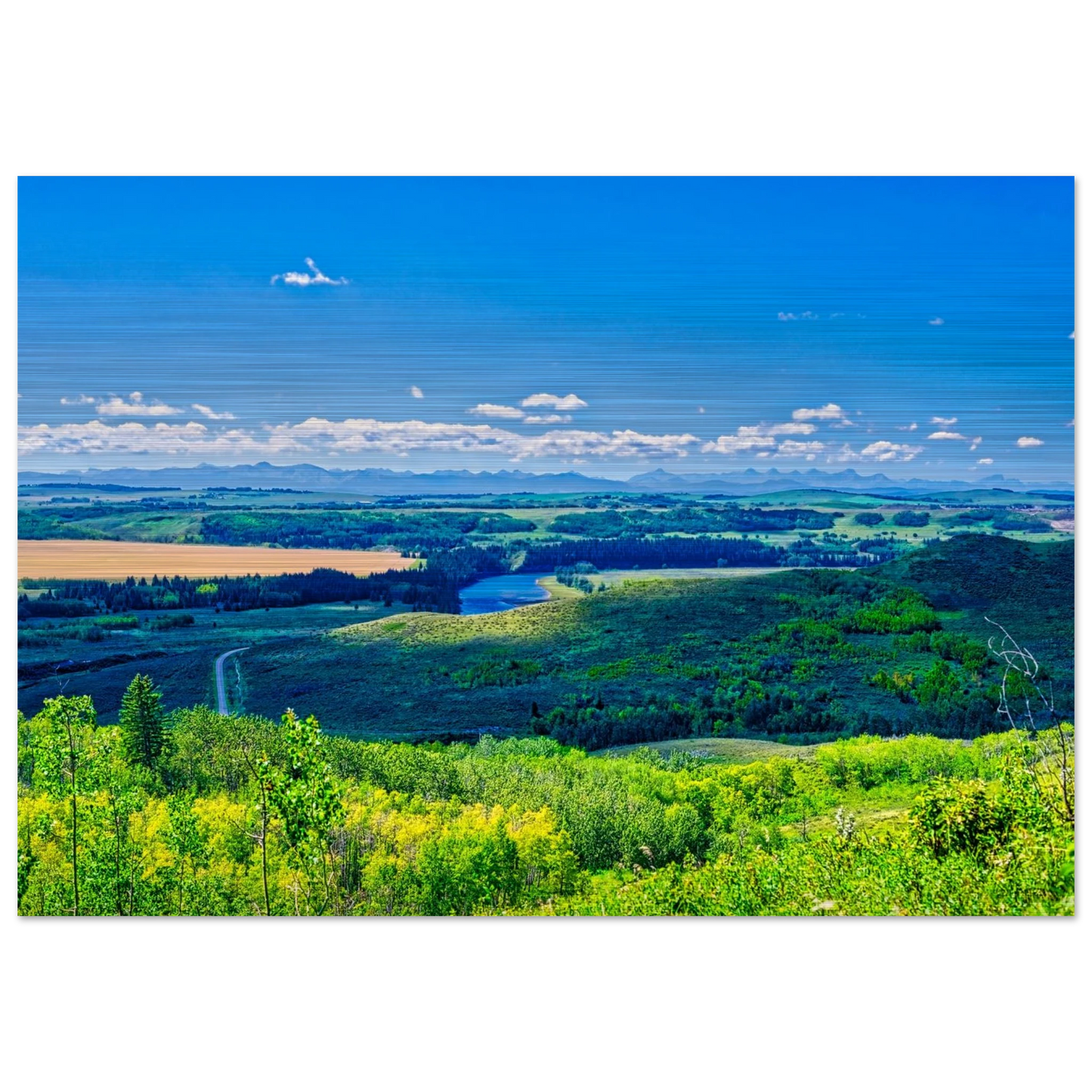 b8384f1e-38b4-4143-b89f-54f1a9f387be