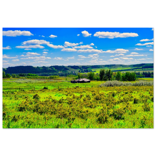 ba8c5a21-652d-4789-926d-e33fdd1f9386