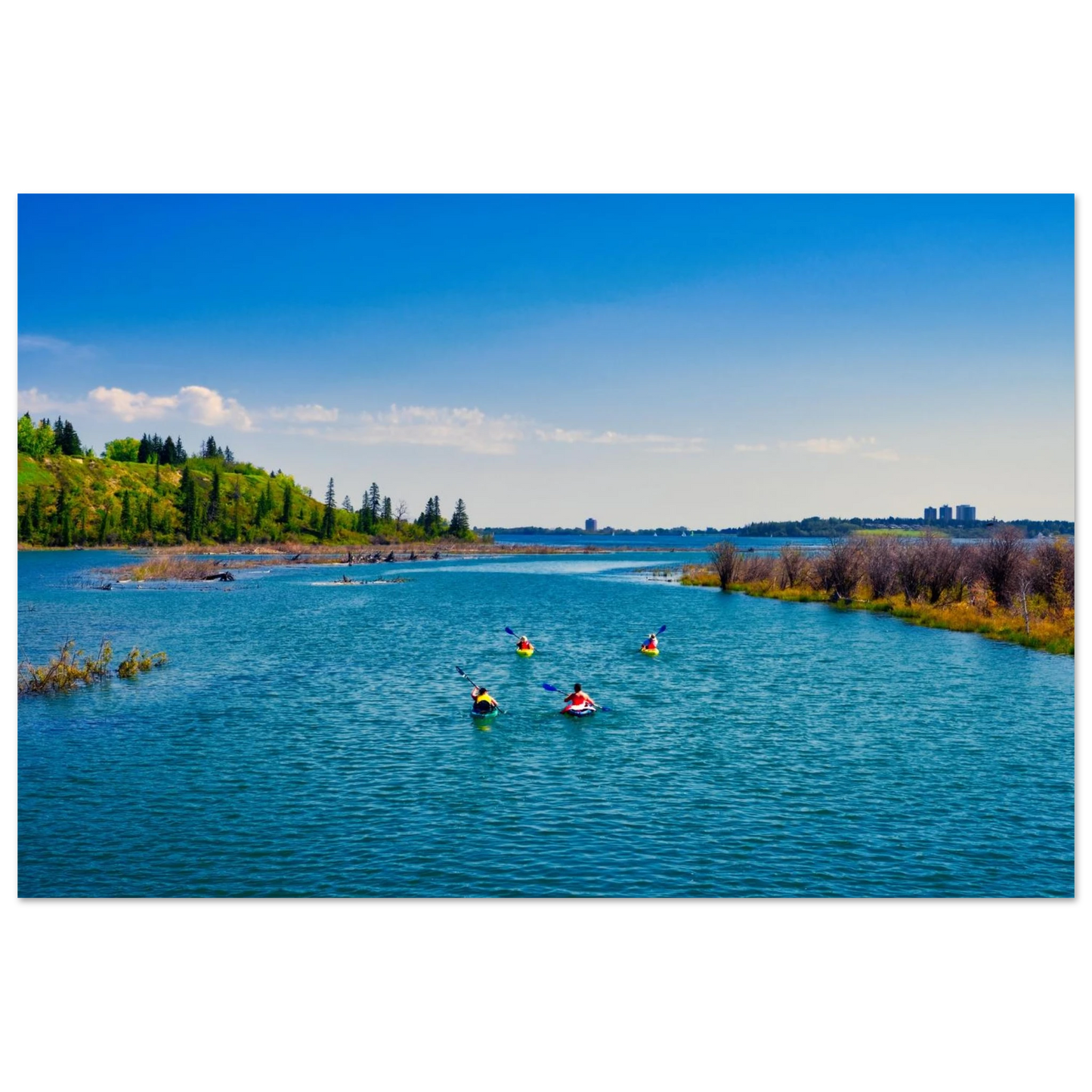 bc2b5c29-cd59-4549-8bf5-f2c182490b01