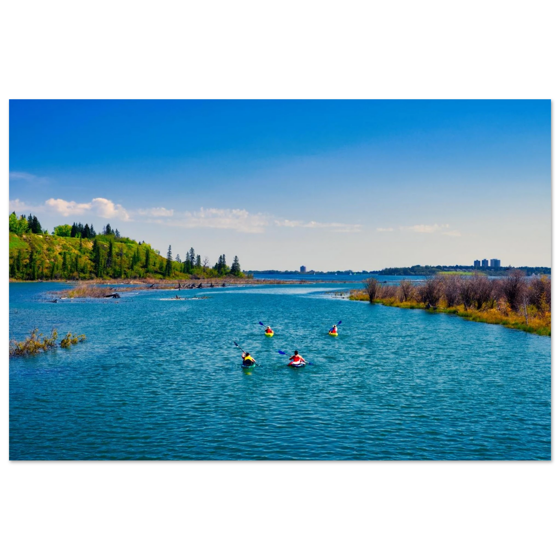 bc2b5c29-cd59-4549-8bf5-f2c182490b01