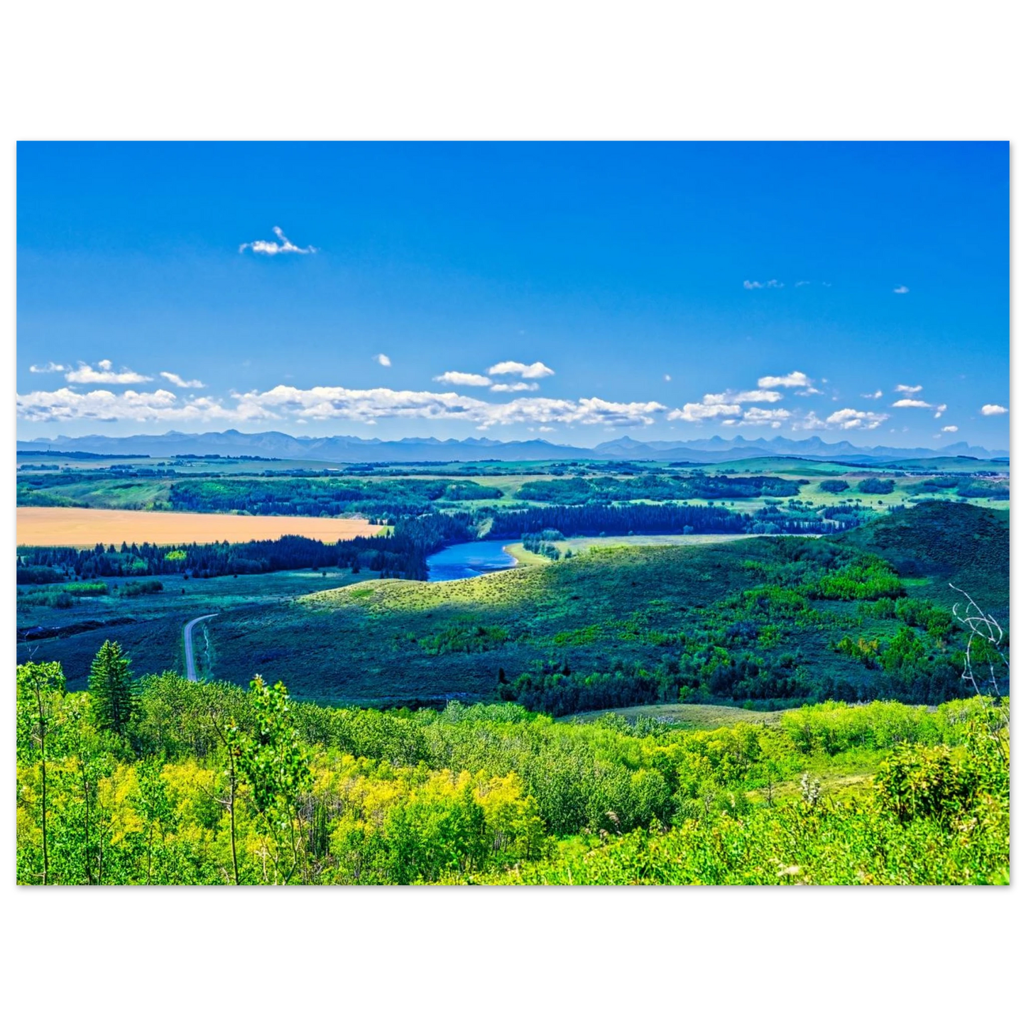 bc518282-045f-486a-917e-48c3375dee04