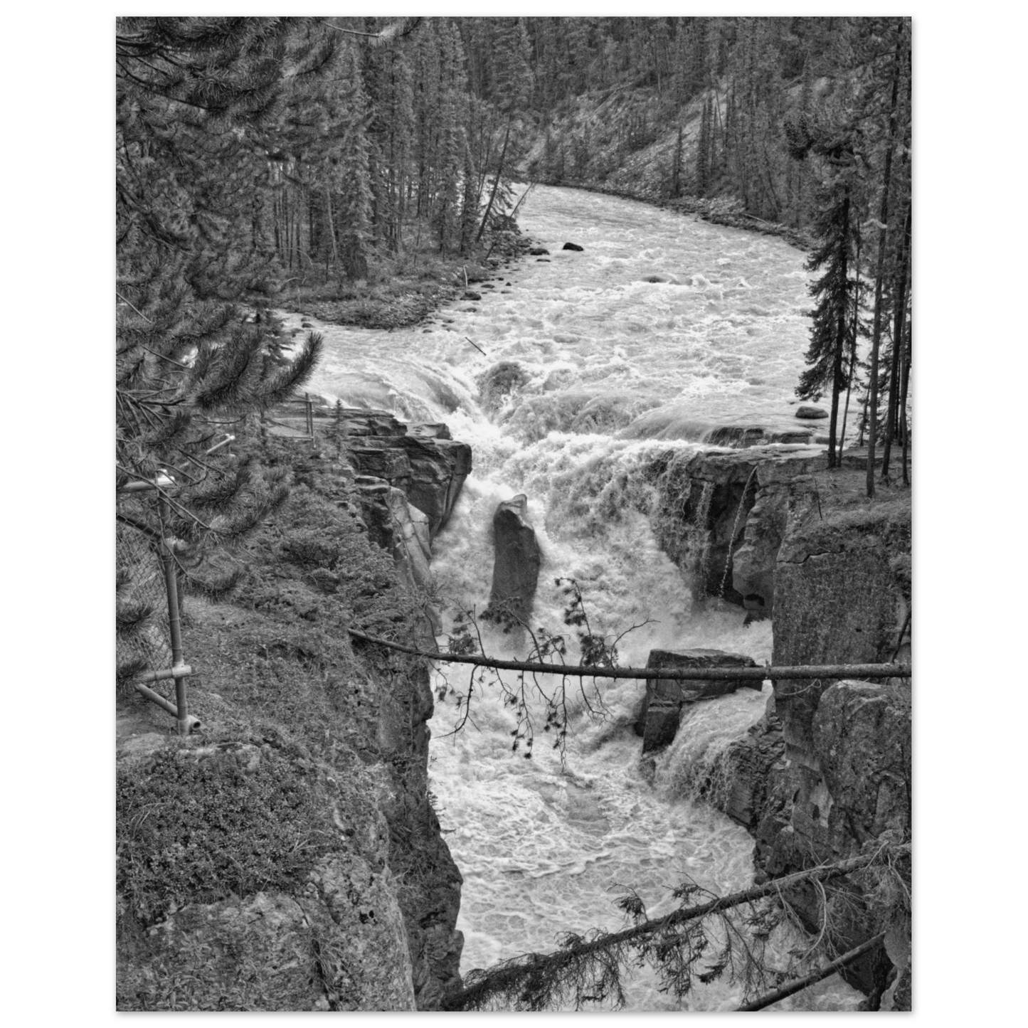 bddd7fac-8564-4de6-8eea-b6a24a77c5d4