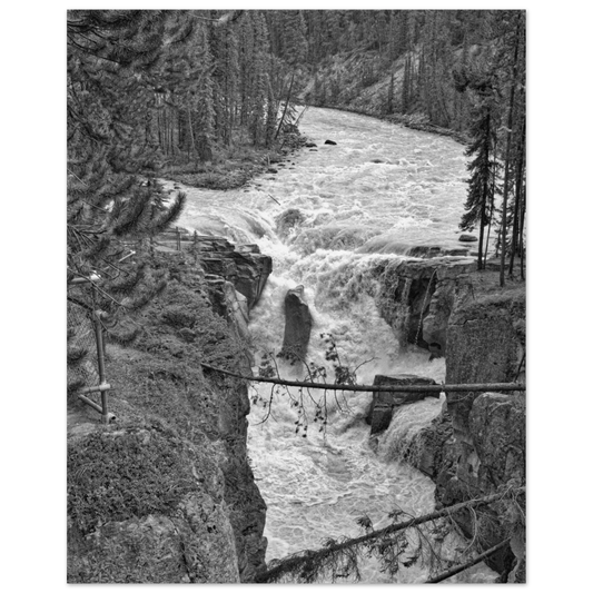 bddd7fac-8564-4de6-8eea-b6a24a77c5d4