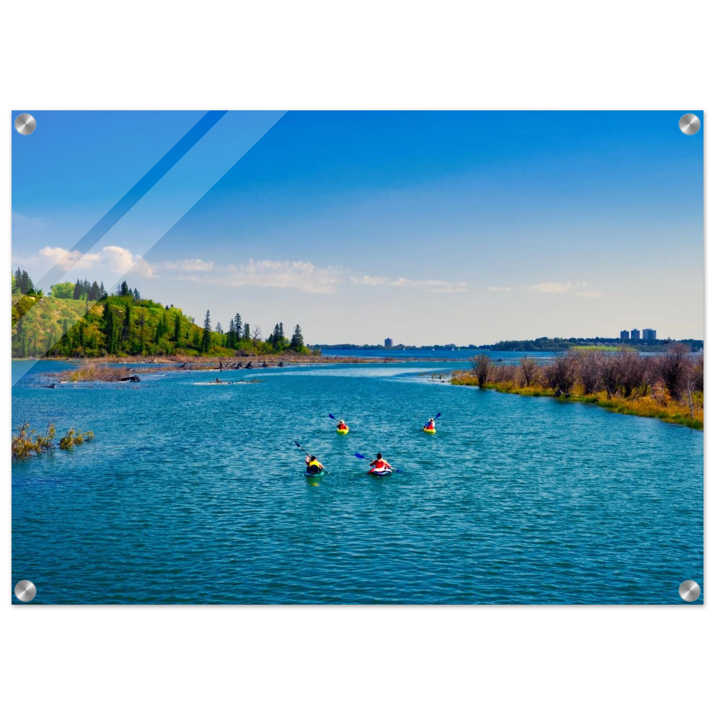 c0d70f3b-e0da-4642-8e00-cede4794f773