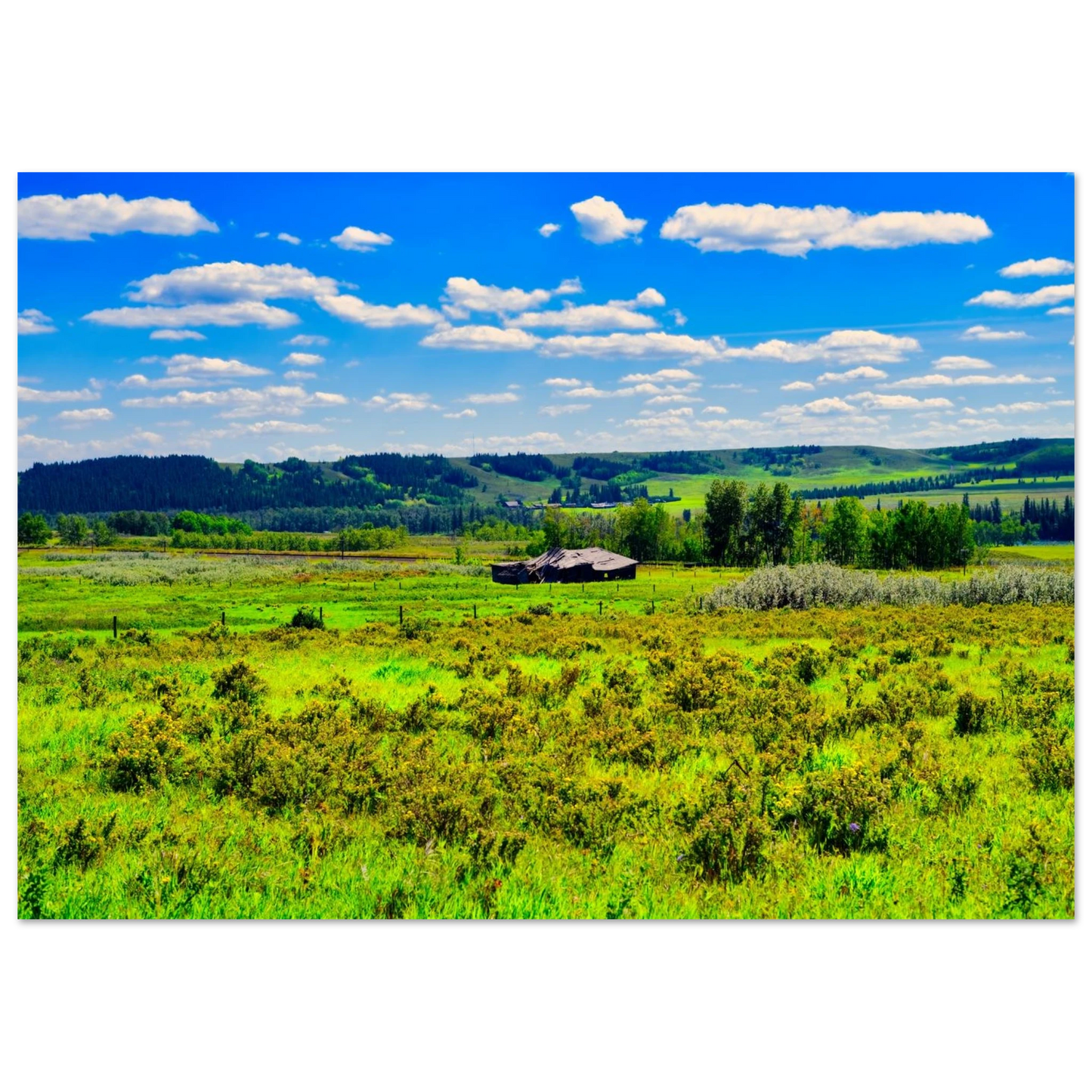 c1058385-2785-46bd-8657-1fa754d16ed0