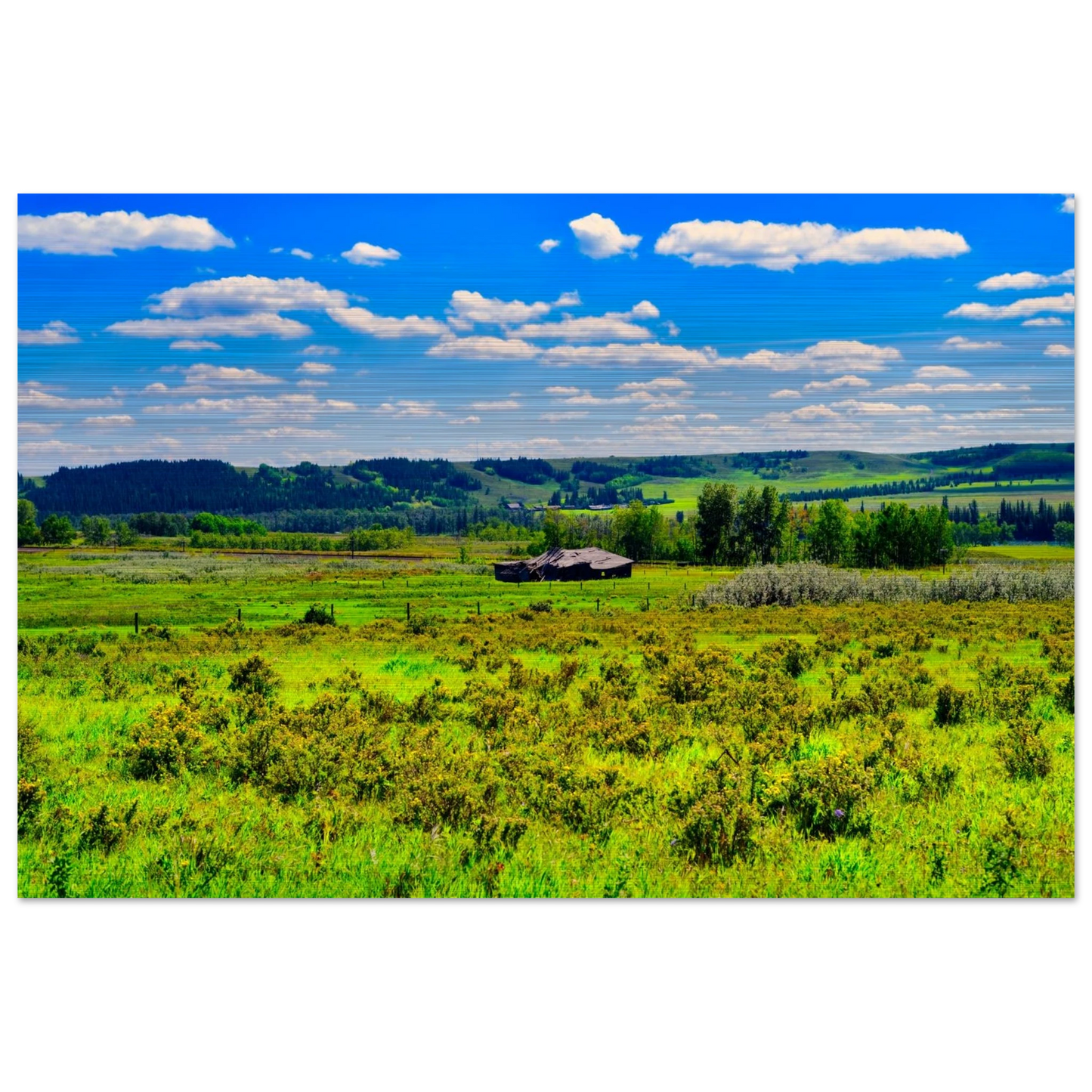 c15a62eb-4eb6-4ad2-bf98-f615a1df18f1