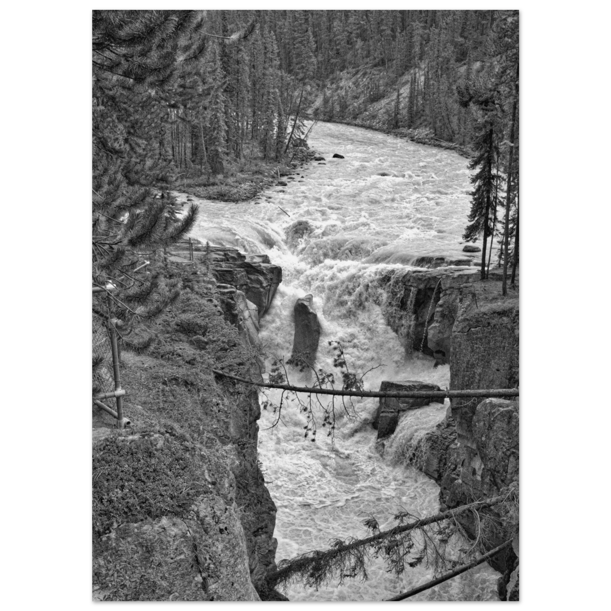 c1b240ae-2cf3-47f8-a695-c63be4913e35