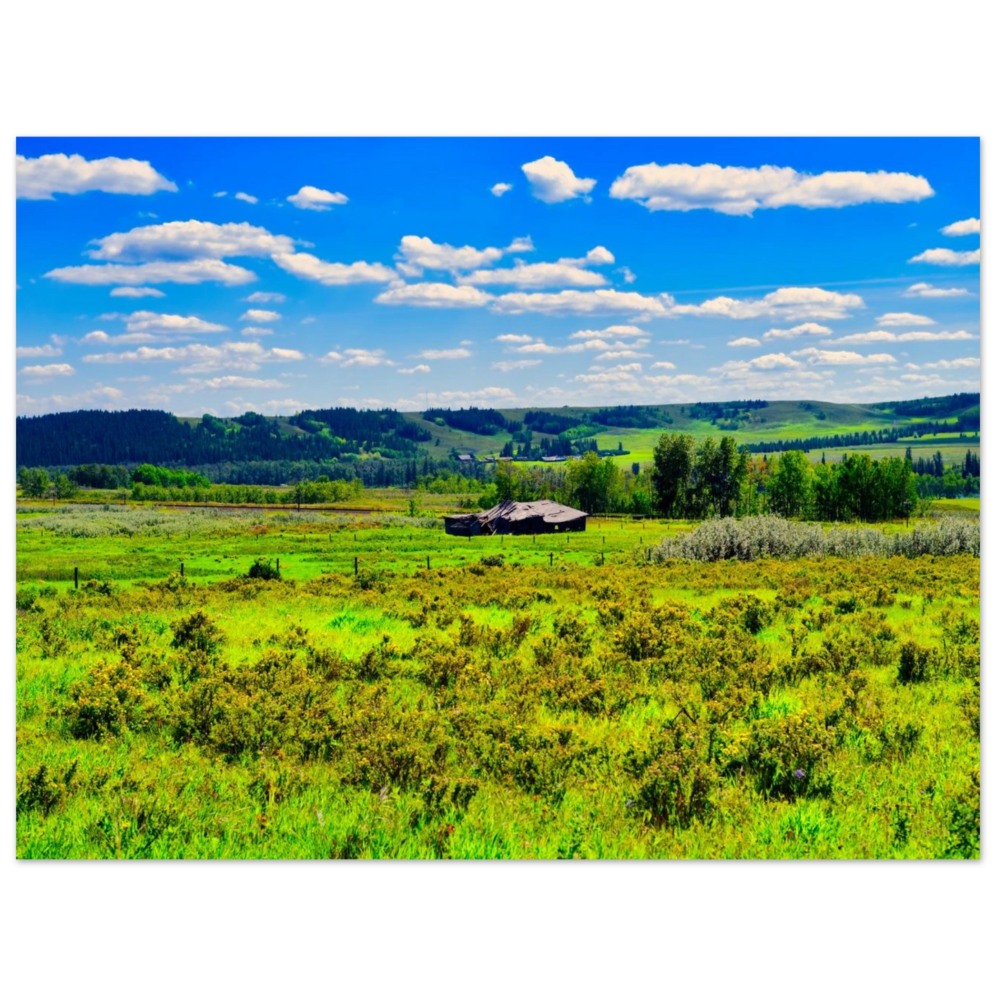 c22e0b86-16fe-4081-93ce-8987d5c90c63