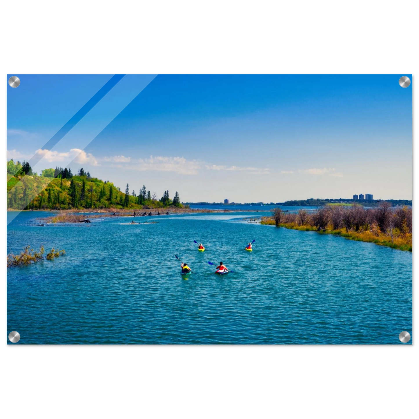 c2fdc81f-f449-4877-a0d0-7be8d13037cd