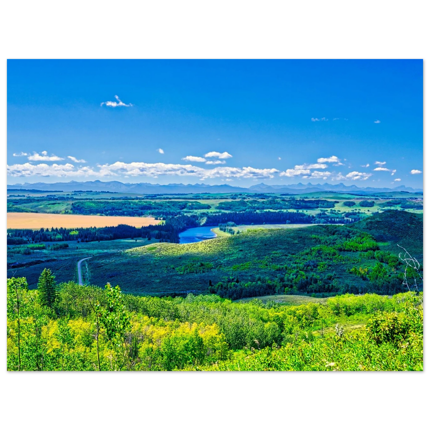 c4ed9e2c-c33c-4eef-a622-a61250618fe5