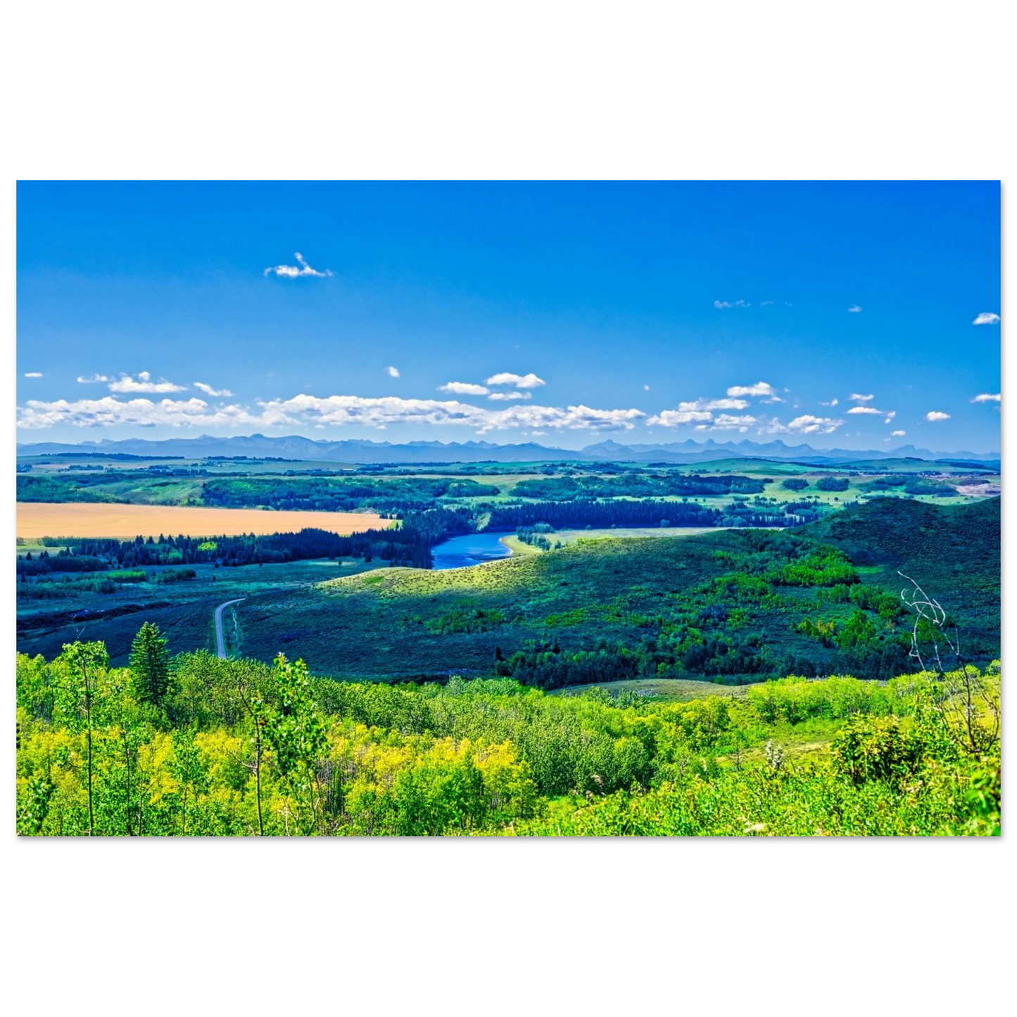 ccae503e-882e-4ba1-b2ef-8bd8a804687a