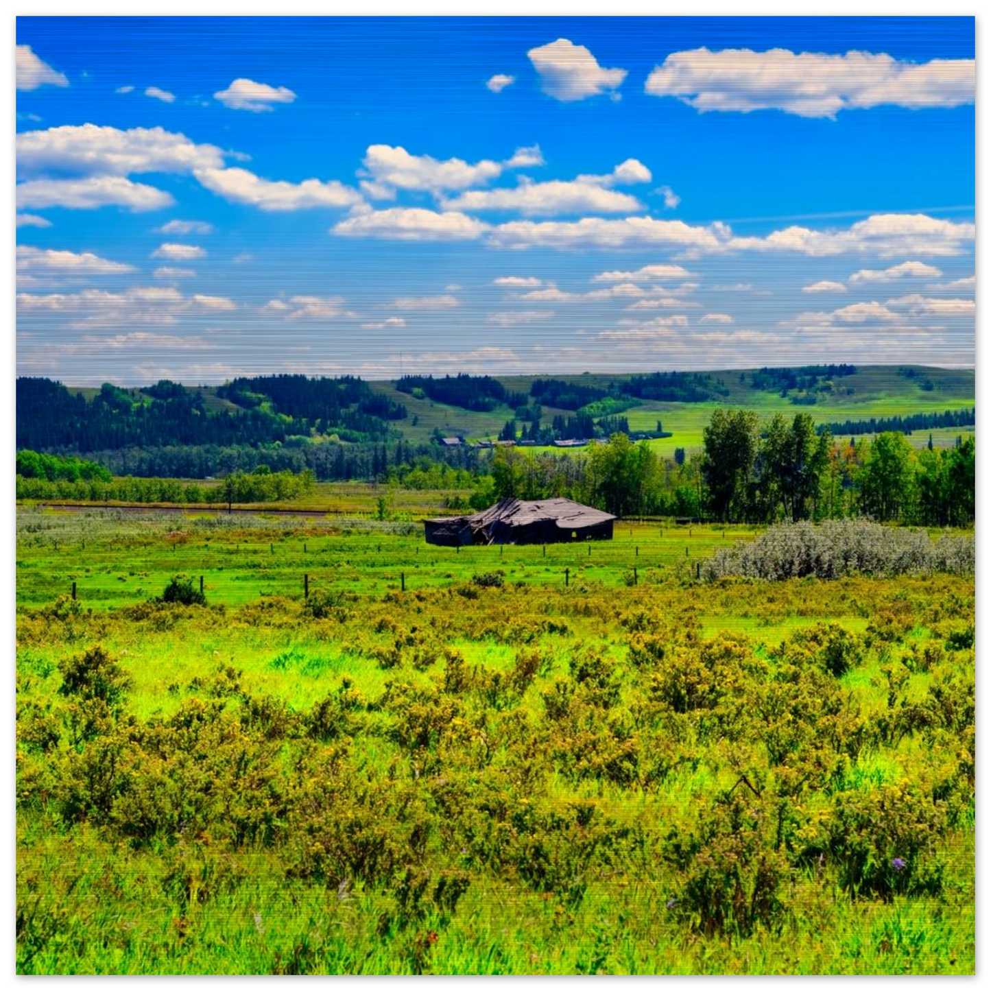 cccb986b-6978-418c-bf10-1a926a7ffd36