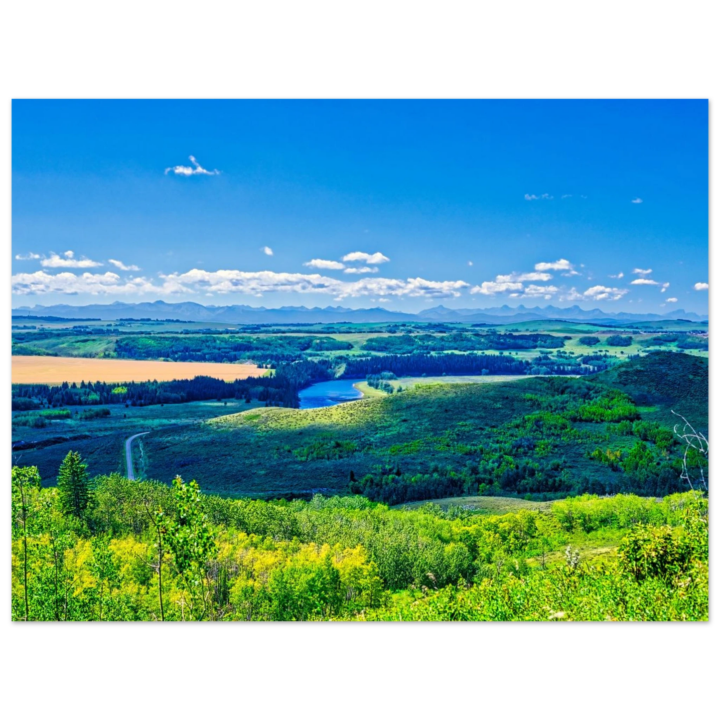 ce160293-8d8a-4bcc-8360-3f13610f93e6