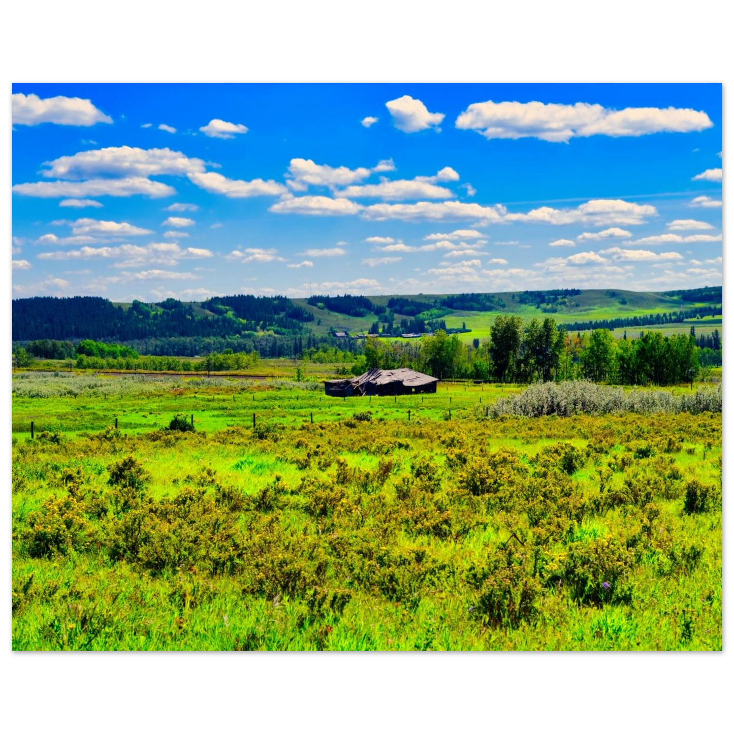 ce7e063f-6a50-40d4-8a32-bd00700c981c