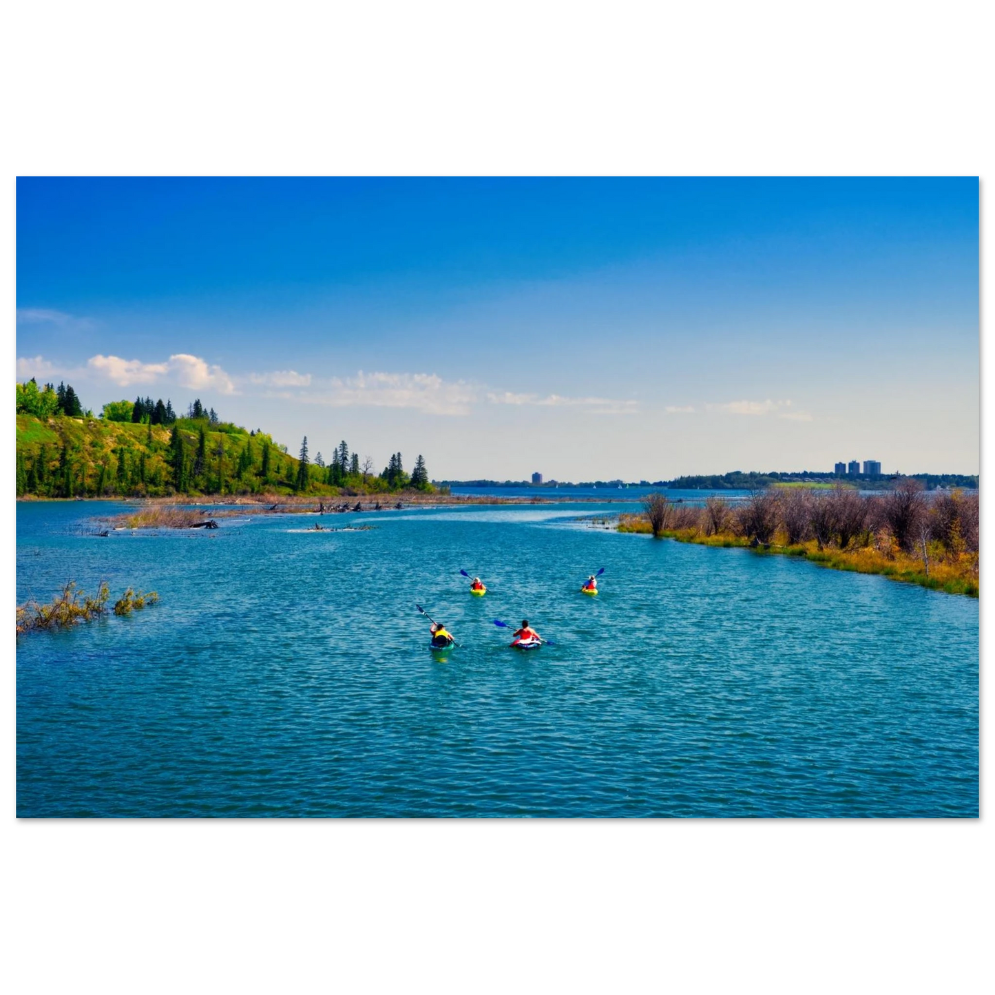 cede5f76-0c61-4786-a82d-b52f68a9a3fe