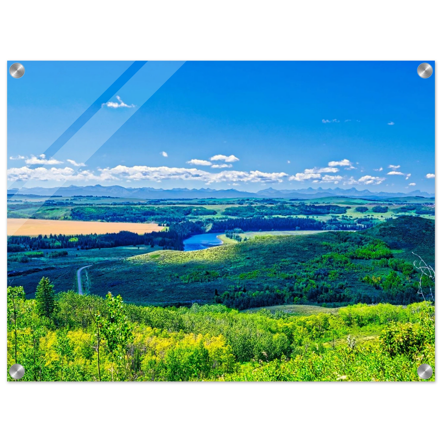 d0581b58-bc03-4448-a564-5a08b1f0de4b