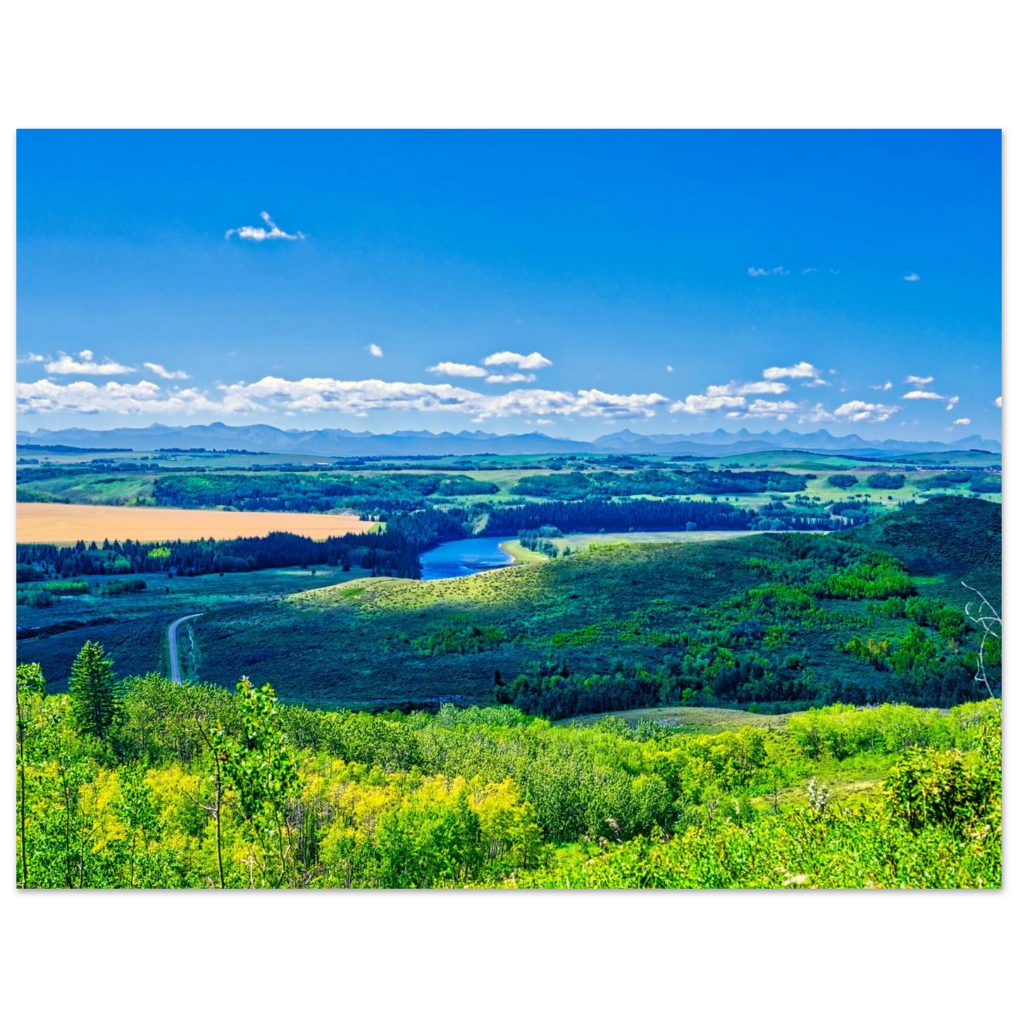 d0f65836-ab9f-4a27-9df1-f12795f48d90