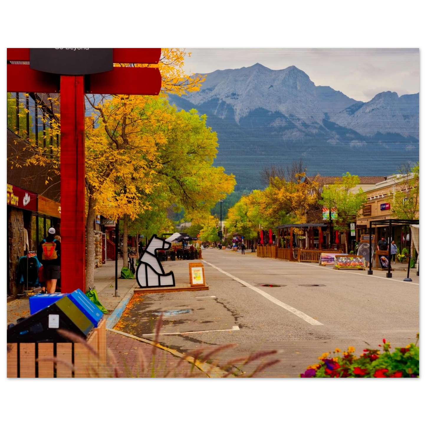 d1e55940-754d-4600-ad1f-29f7cd672985