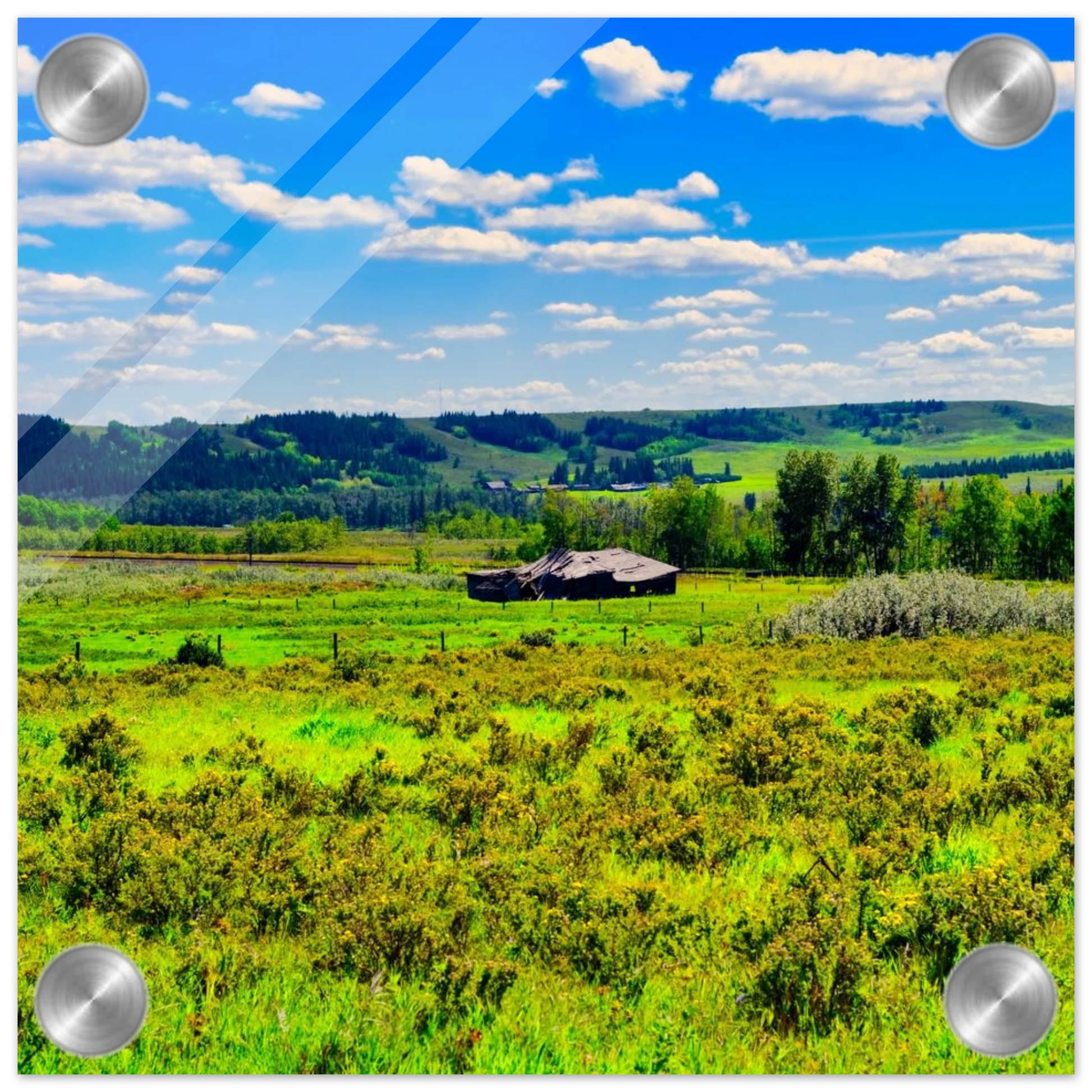 d680ec50-dc5b-4684-92ae-8c1937d9e6e4