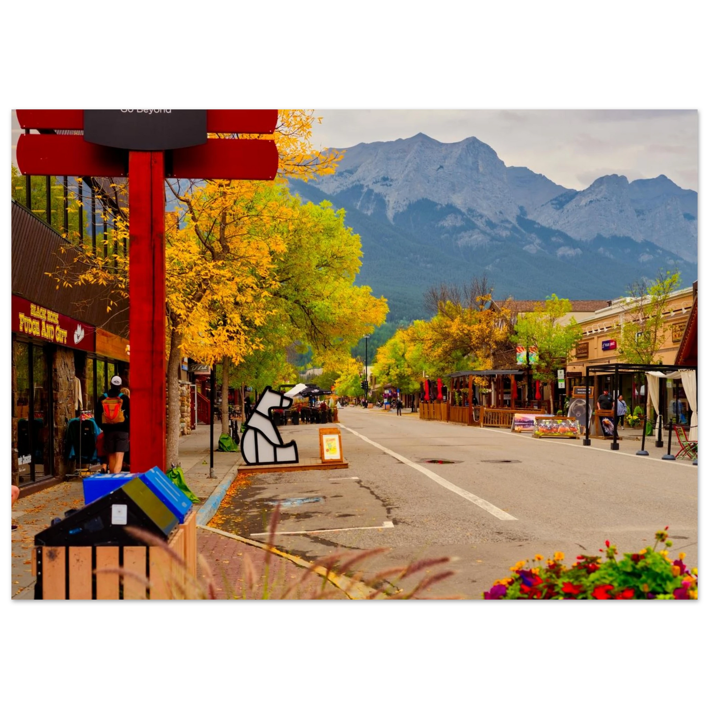 d8685b9c-dafe-448c-b842-f5dc7c65fb70