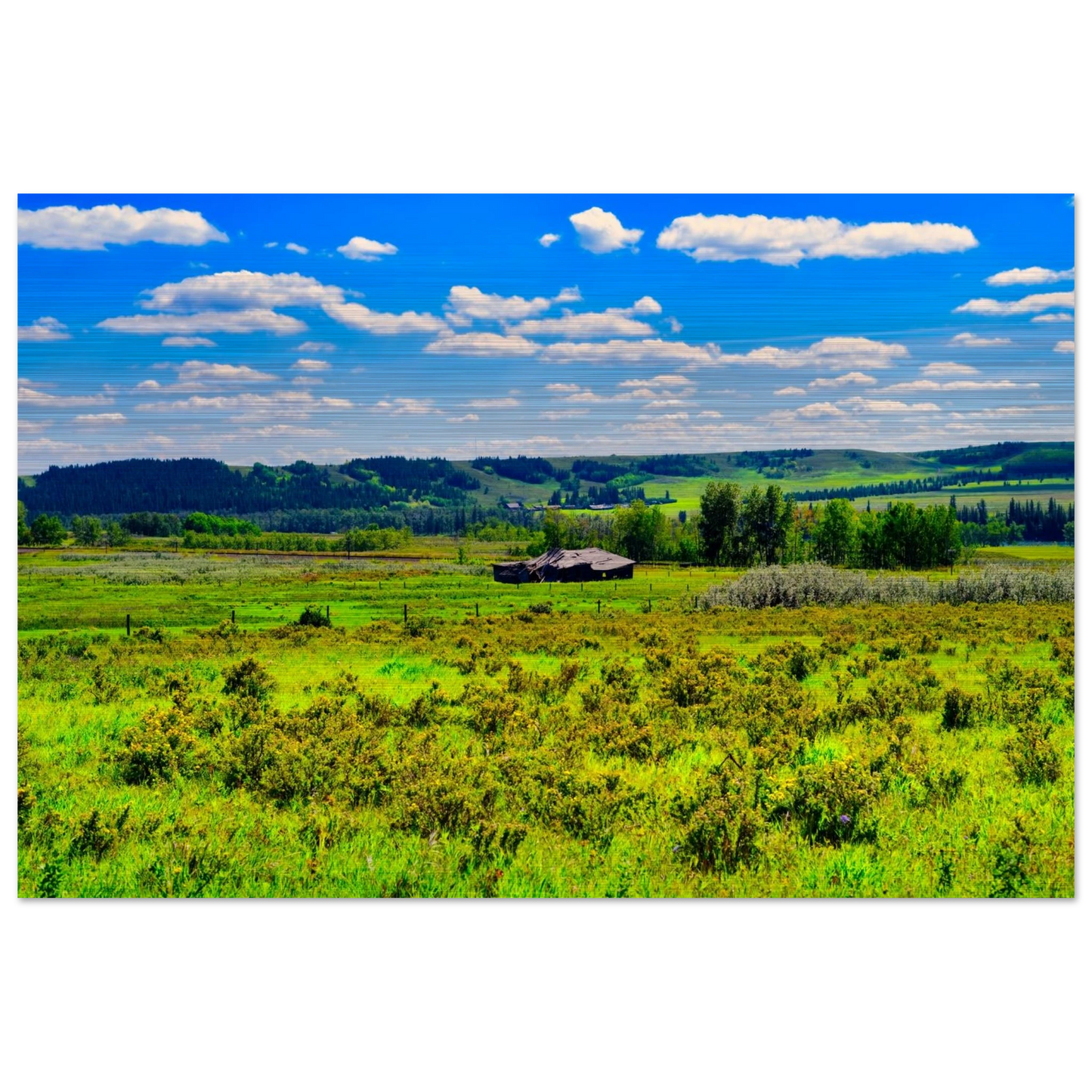 d887f635-67ad-4fbd-8095-1944078a5166