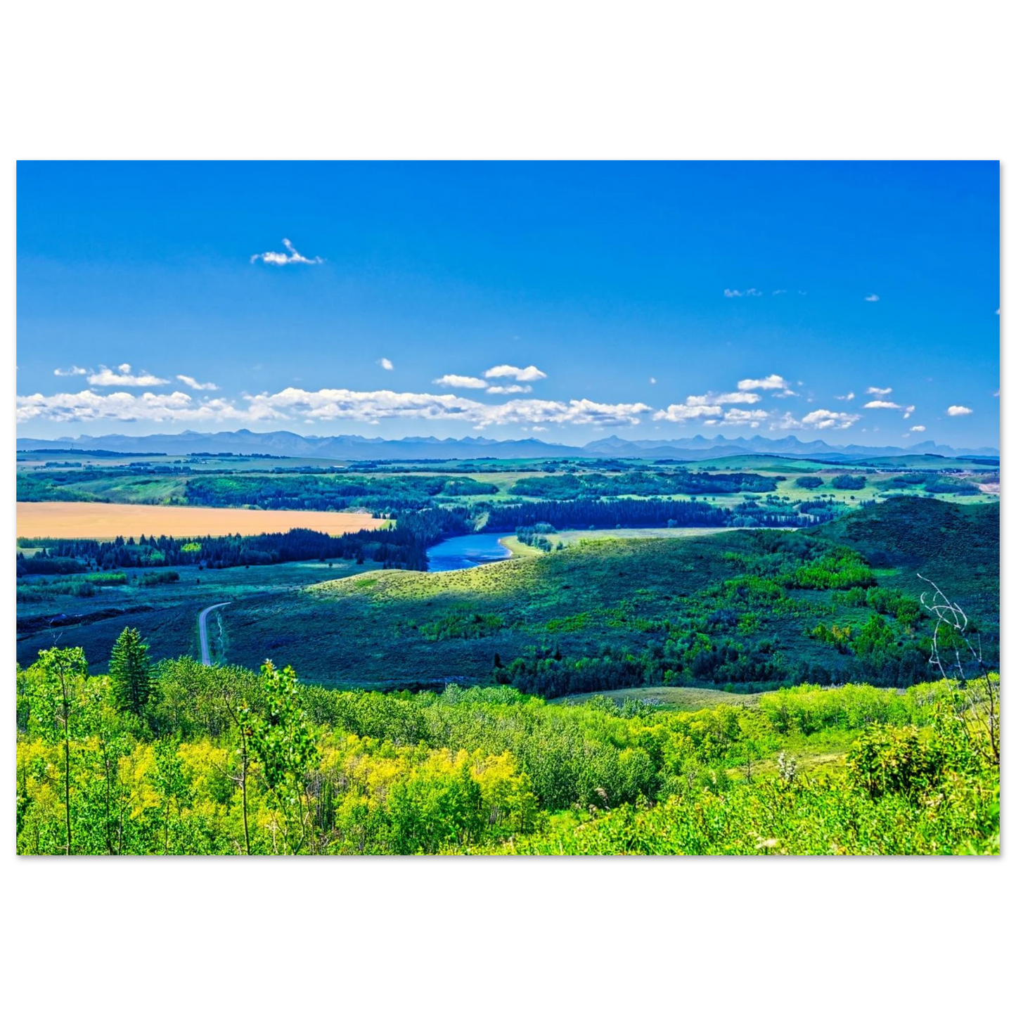 da7d4d16-685e-4816-8020-c8175ea26bc1