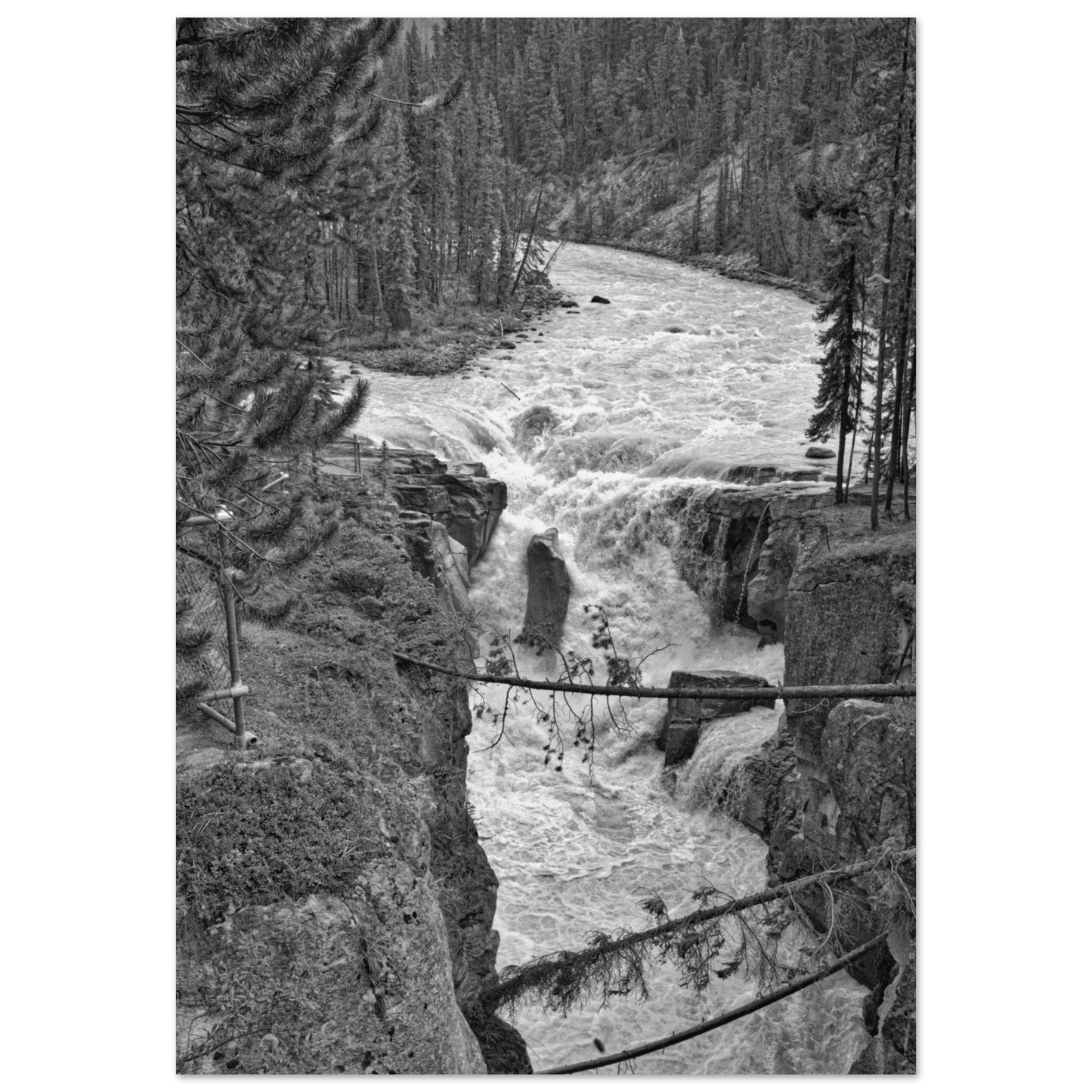 dab2e98a-208c-442d-9c8a-7d651bef78bd